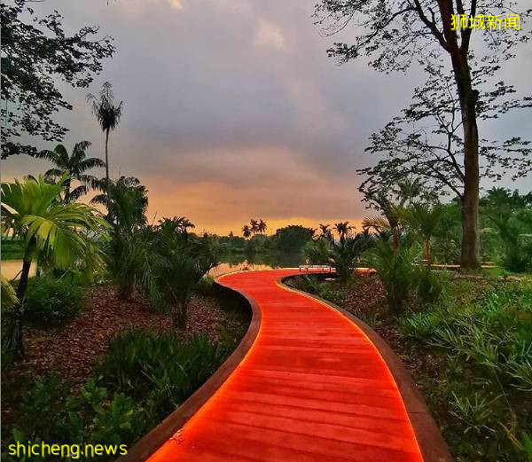 最適合帶孩子去的—新加坡裕廊湖畔花園