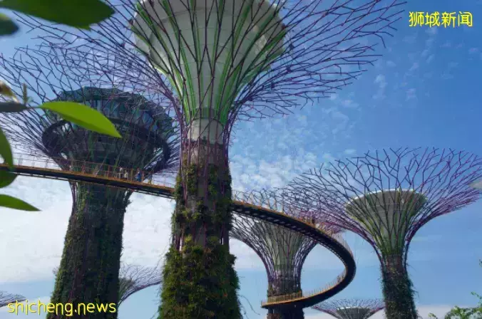 3 Orchard By The Park 【永久業權世代傳承】第十郵區烏節路上繁華地段中的甯靜奢華