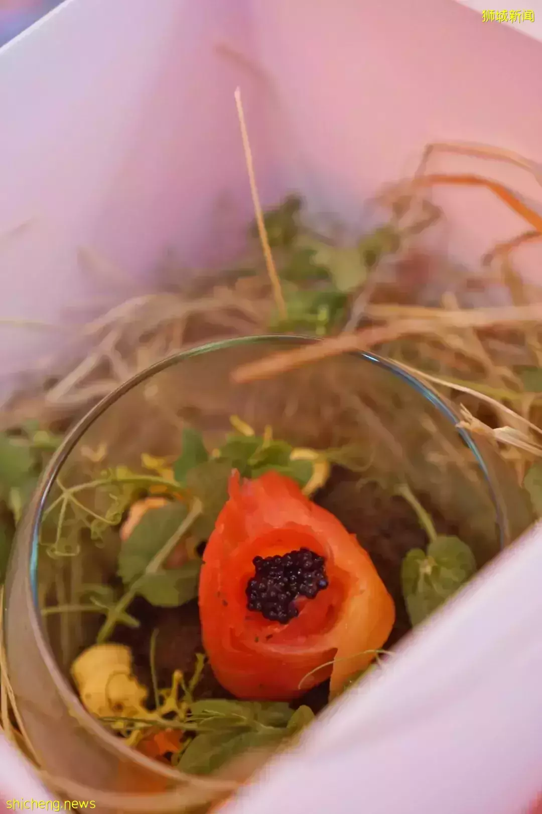 新加坡环球影城隐藏新玩法，仅2天！烟火秀、现场演出、不用排队、热带飘雪、网红美食