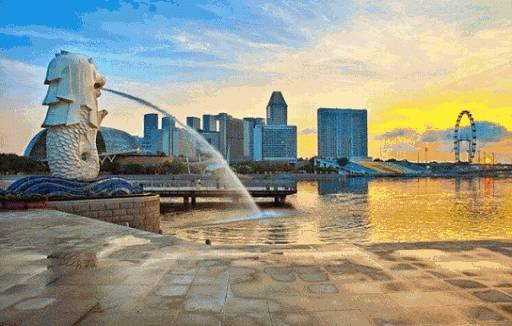 新加坡留學 如何拿綠卡?你最需要的幹貨來啦