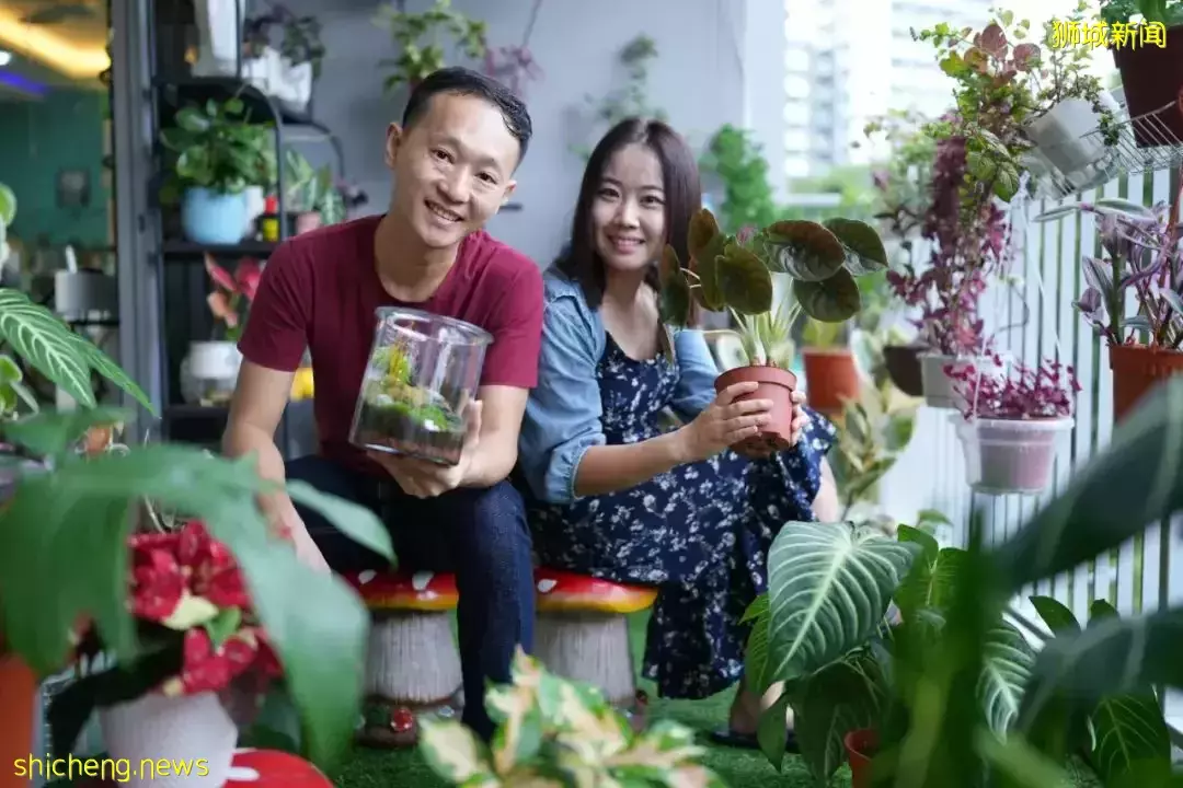 小小組屋內有百盆植物，園藝爲何讓這對新加坡小夫妻如此著迷