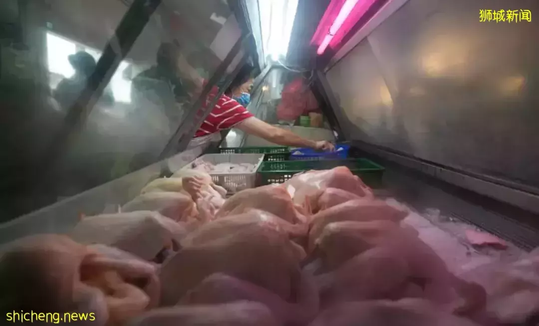 全岛扫毒!新加坡逮捕146名涉嫌吸毒者