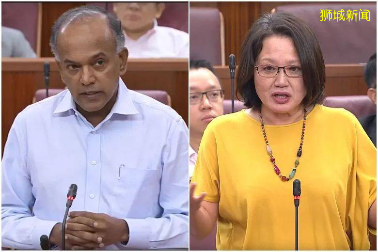 深扒12個進入新加坡國會的反對黨議員！都是何方神聖