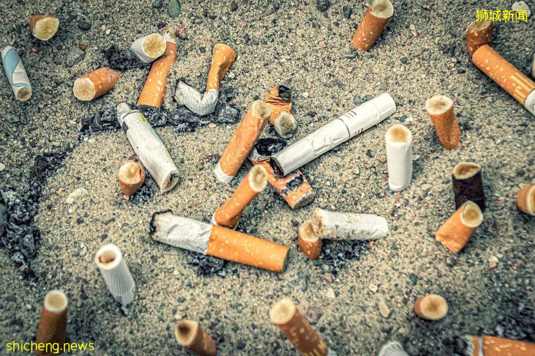 新加坡的"奇葩"法规：盛世更要用重典