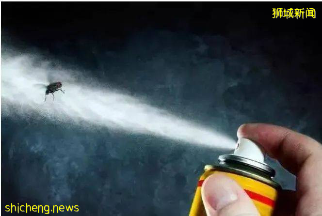 爱吃芝士的要当心，新加坡紧急召回四款含“杀虫剂”的进口芝士