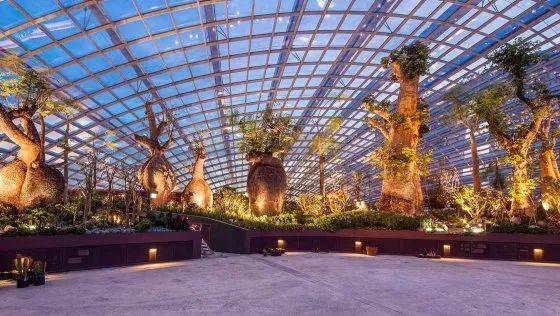 走，去“花園中的城市”新加坡賞櫻