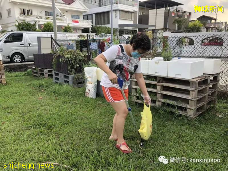 新加坡最近流行撿垃圾了，你還在亂丟嗎