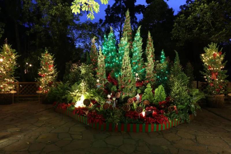 不喜歡人擠人？來新加坡植物園看聖誕燈飾、“世界之樹”吧！入場免費