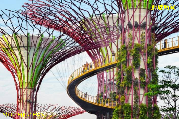 新加坡旅遊局 x ABC Cooking Studio 對這座花園城市狠狠“新”動了