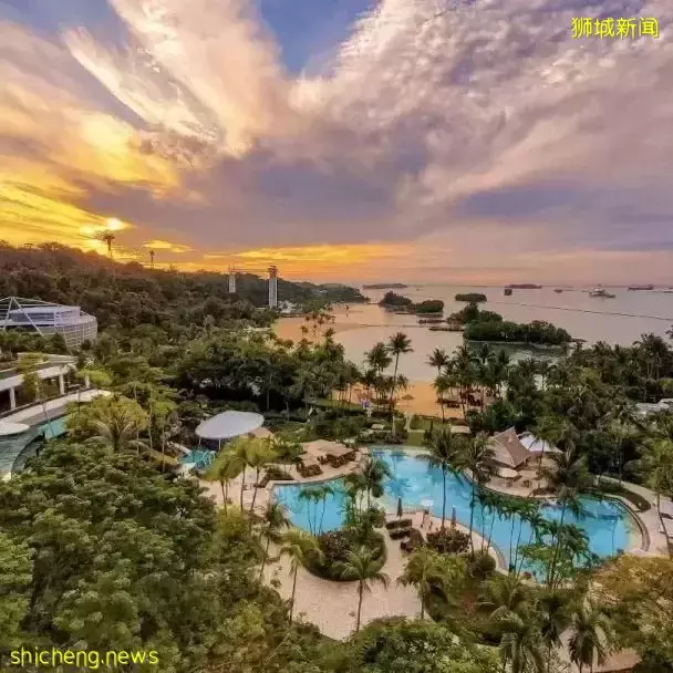 新加坡11條shuttle bus路線!直達動物園、宜家、農場、聖淘沙、醫院