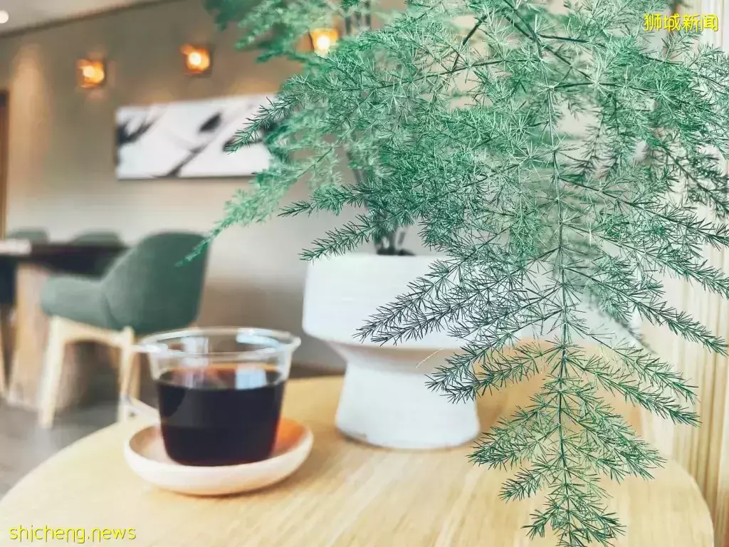 京都風格雙層Cafe@Jurong，50余年老店全新亮相