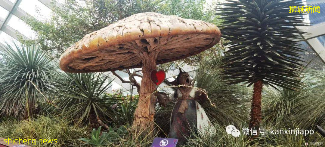 新加坡親子好去處！濱海灣～花穹～雲霧森林～空中步道半日遊