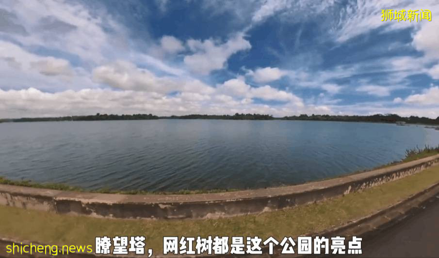 疫情不再宅家!新加坡10个超美户外蓄水池走起~人少风景好