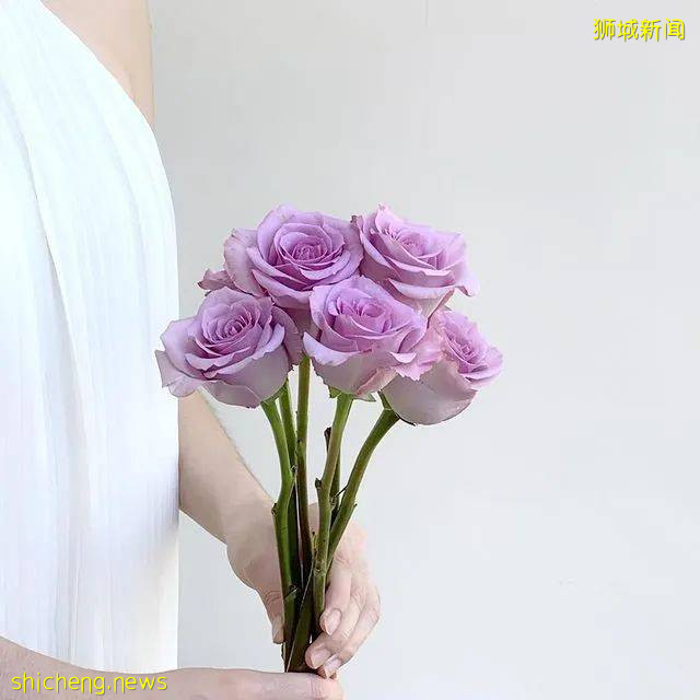 超劃算鮮花網購店合集!低至10新,全島免費送,1日內到付