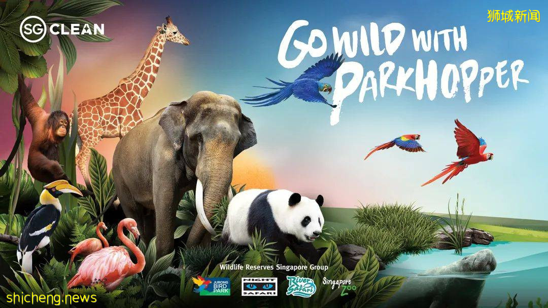 新加坡旅遊局：酒店客房僅允許2人入住，境內旅遊團導覽須2人一組活動