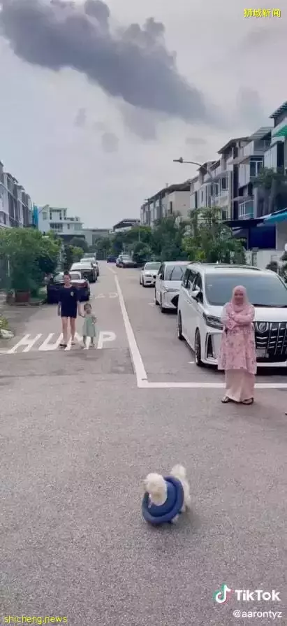 新加坡這些人因平均擁有三輛車，被交警瘋狂開罰單