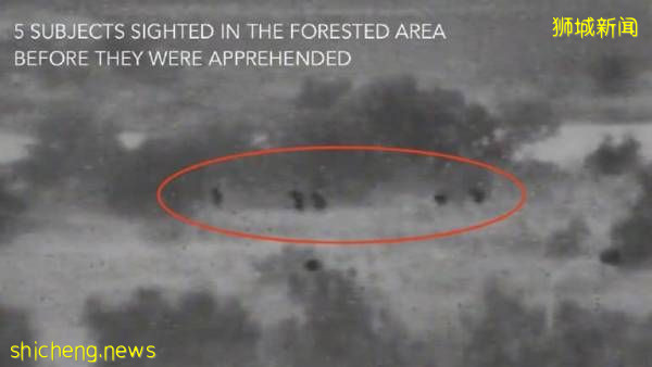 清晨游泳闯狮城！5男遭海岸警卫队逮捕