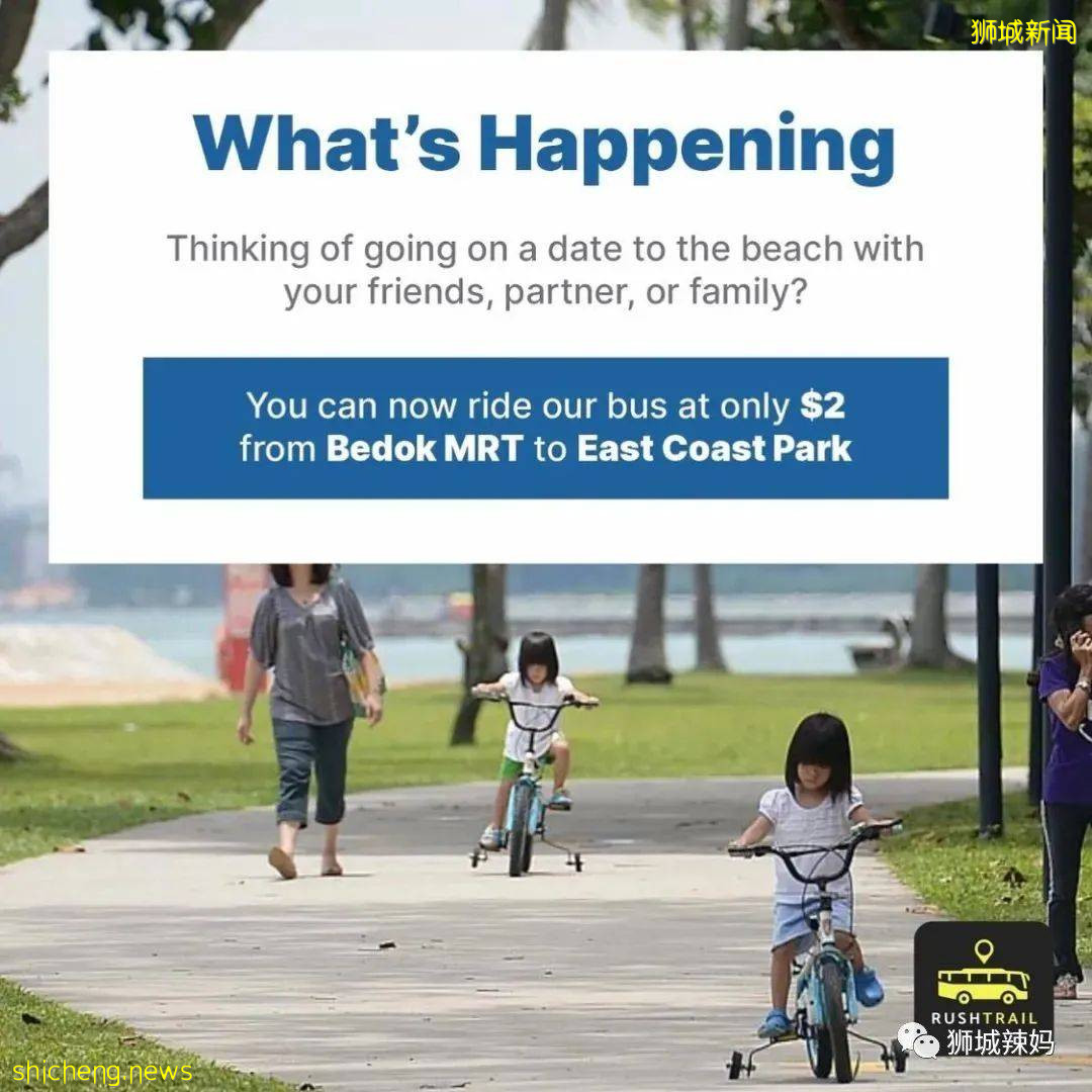 $1起!全新2條巴士線,去夏氏牧場、青蛙農場、東海岸再也不用打車啦