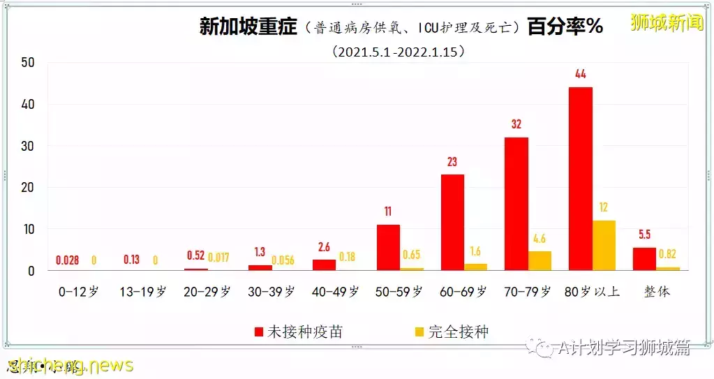 新增10390起,其中本土10208起;新加坡连续第二天确诊冠病超万起