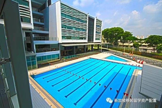 新加坡國際學校留學