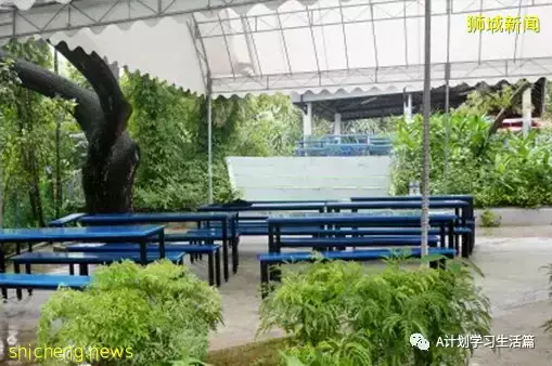 新學年,新加坡各國際學校學費(AY2022/23)