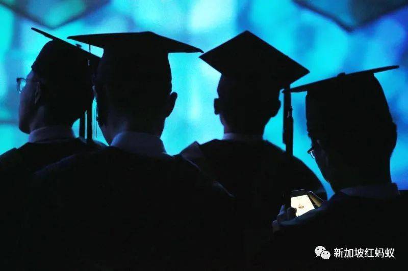 这群外籍学生在新加坡毕业后进退两难：找不到工作也回不了国