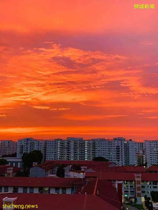 刷屏!新加坡昨天出现绝美彩虹,副总理也忍不住转发!