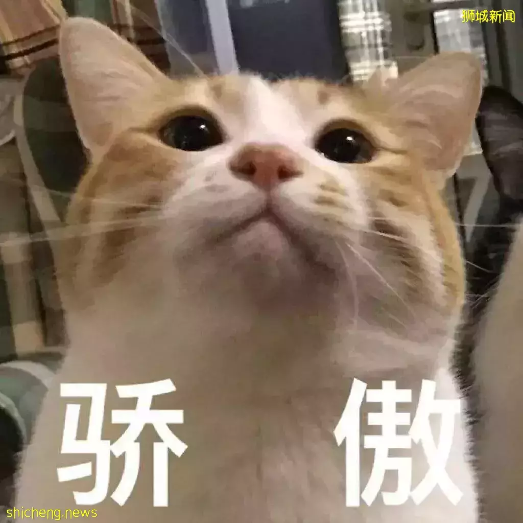 英国高水平人才签证开放申请，新加坡两所大学进入认可名单