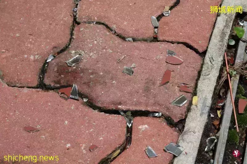 獅城高樓抛物黑區電眼拍到 64歲叔疑丟玻璃鐵條被捕