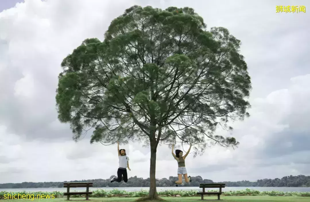 假期出遊 新加坡那些鮮爲人知的“寶藏”勝地