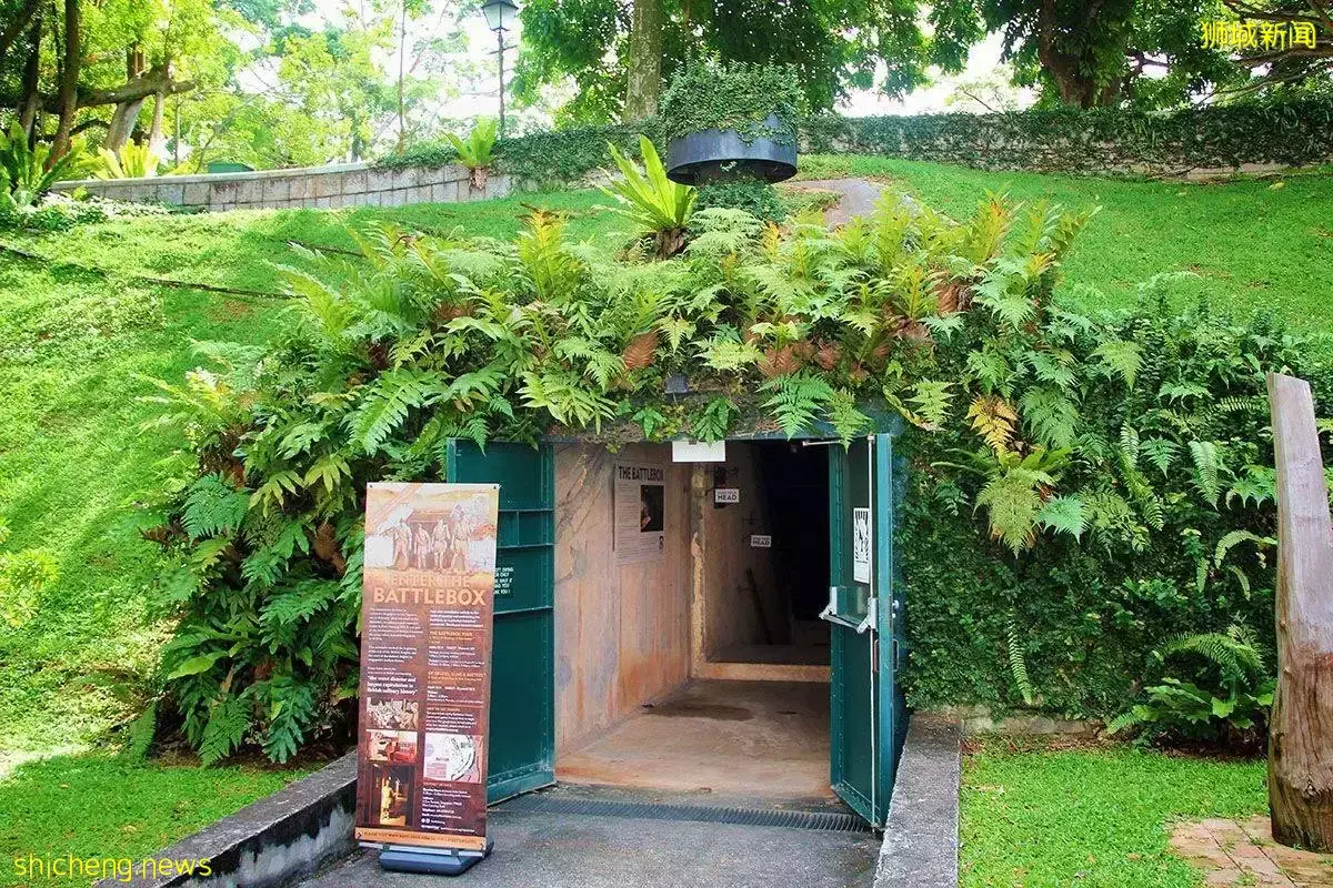 国际博物馆日漫游攻略：从新加坡7个必逛的博物馆，读懂狮城