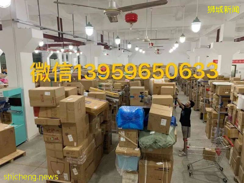 618必备!中国到新加坡海运物流,惊爆只要¥320每立方