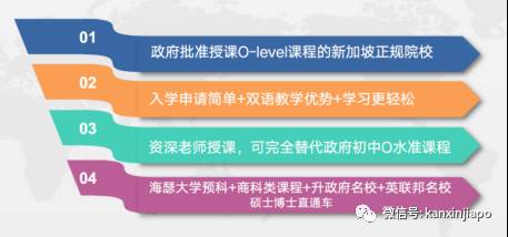 如何成功進入新加坡政府中小學 後續升學路徑解析!新加坡學曆提升必讀