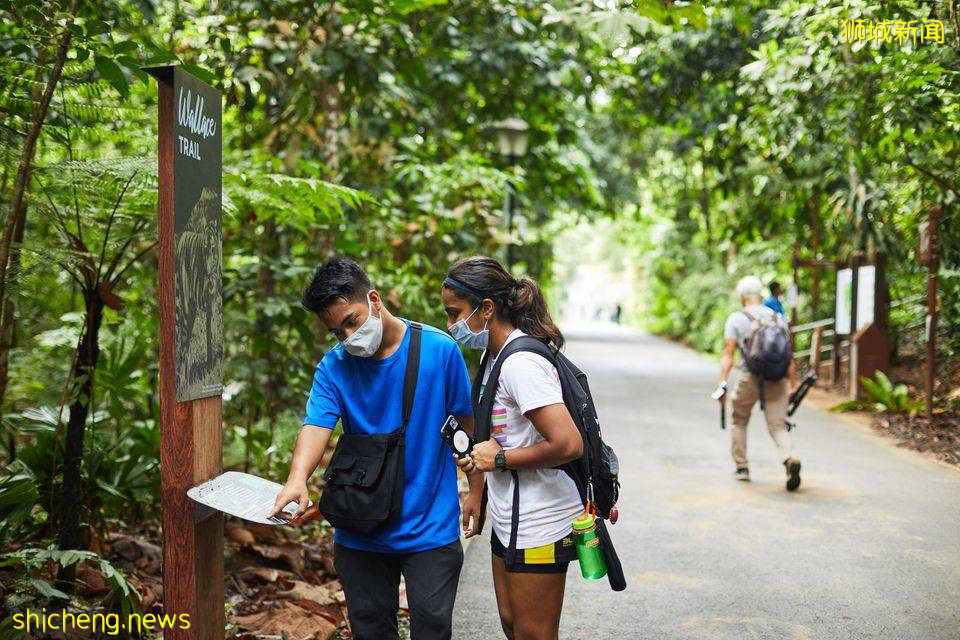 遛娃!徒步!燃烧卡路里~这个新加坡宝藏公园,翻新后更好玩