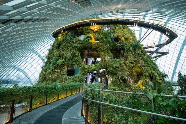 新加坡10个最美公园告诉你,花园城市有多美