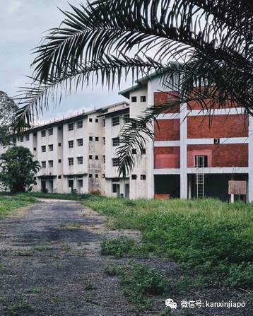 花式慶萬聖,陰森恐怖的探險之地,你敢挑戰嗎