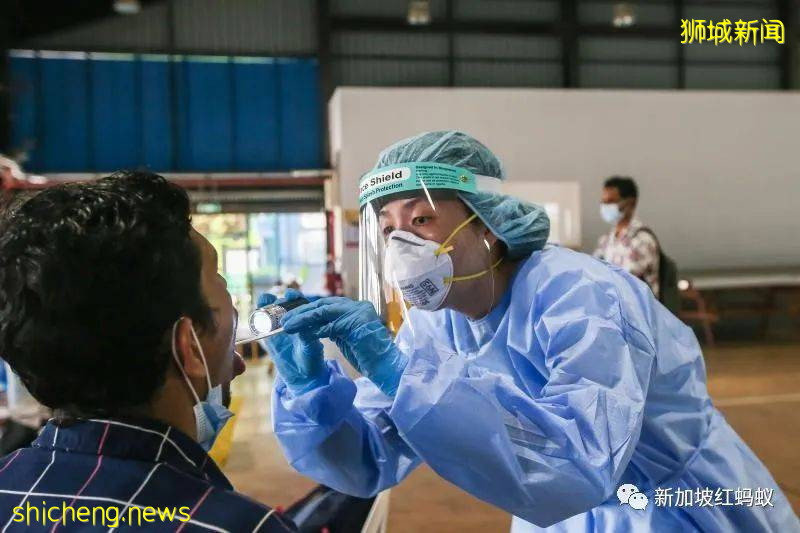 中国频频出现源自新加坡的输入病例 卫生部:康复者体内会残留病毒
