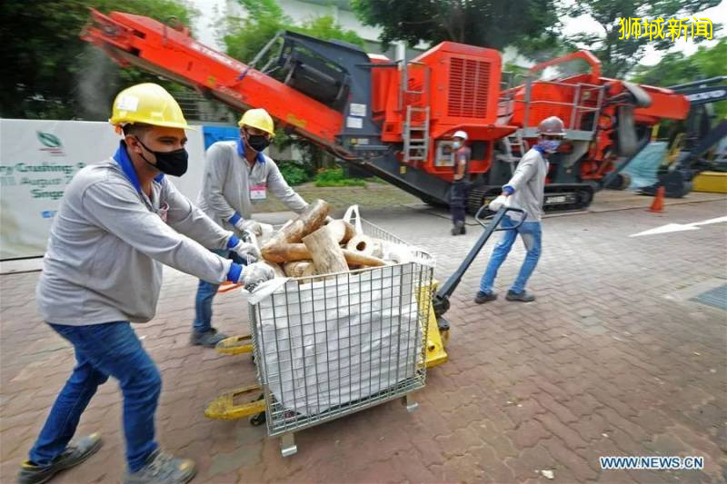 好樣的！新加坡銷毀9噸象牙，世界規模最大，全球直播