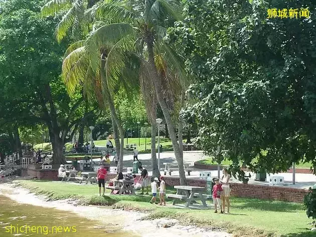 新加坡随处放风筝可能被罚款!6个合法放风筝地点收好不谢