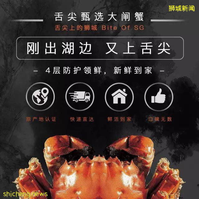 铛铛铛！萬衆期待的蟹中“小鮮肉”，舌尖六月黃大閘蟹登陸獅城啦
