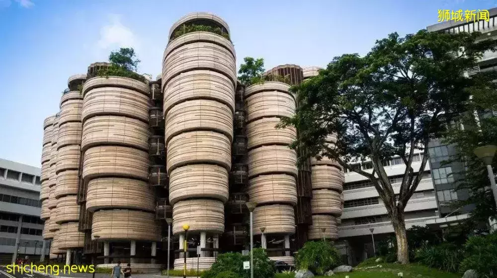 獅城一覽(2) 新加坡擇校，世界名校全掌握