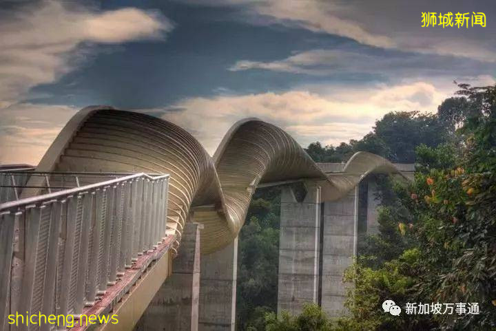 什麽是新加坡?盤點那些你不知道的新加坡知識