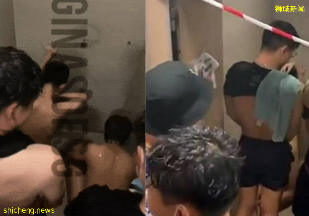 柔性晶体赋能微型机器，NTU新研究为可弯曲电子学铺平道路.