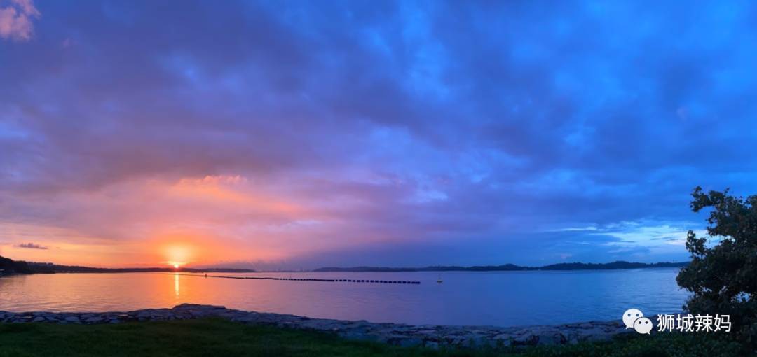新加坡最好玩的海灘公園!趕海、騎馬、劃艇、樹籬迷宮、燒烤露營,超適合家庭出遊