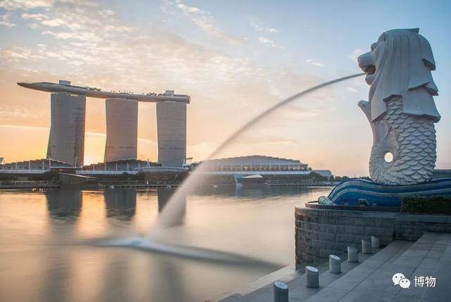 博物新加坡跨年之旅，动物爱好者的狂欢