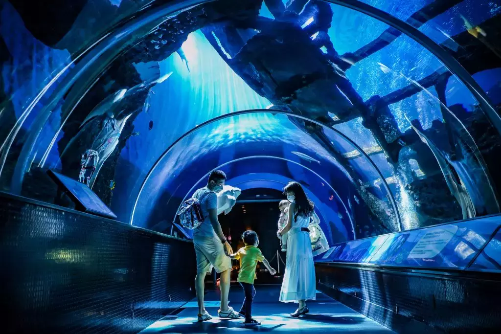 圣淘沙S.E.A.海洋馆将扩建,规模扩大至三倍!更名成为新加坡海洋馆,预计2024年底完工🌊