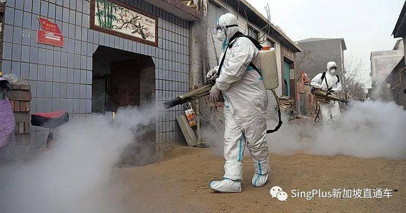 新加坡和中國同步收緊入境政策！出去難，進來更難