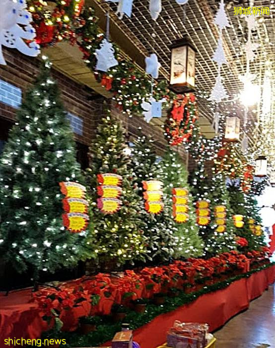 迎接溫暖聖誕季~新加坡這10個地方可以買到聖誕樹,快布置起來