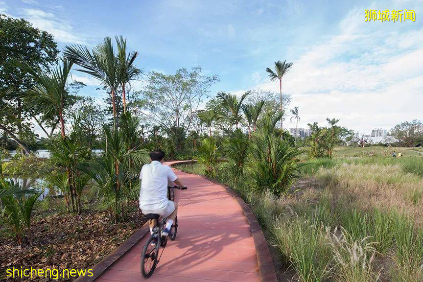 騎行必看！新加坡全島自行車租賃指南，低至$5/天