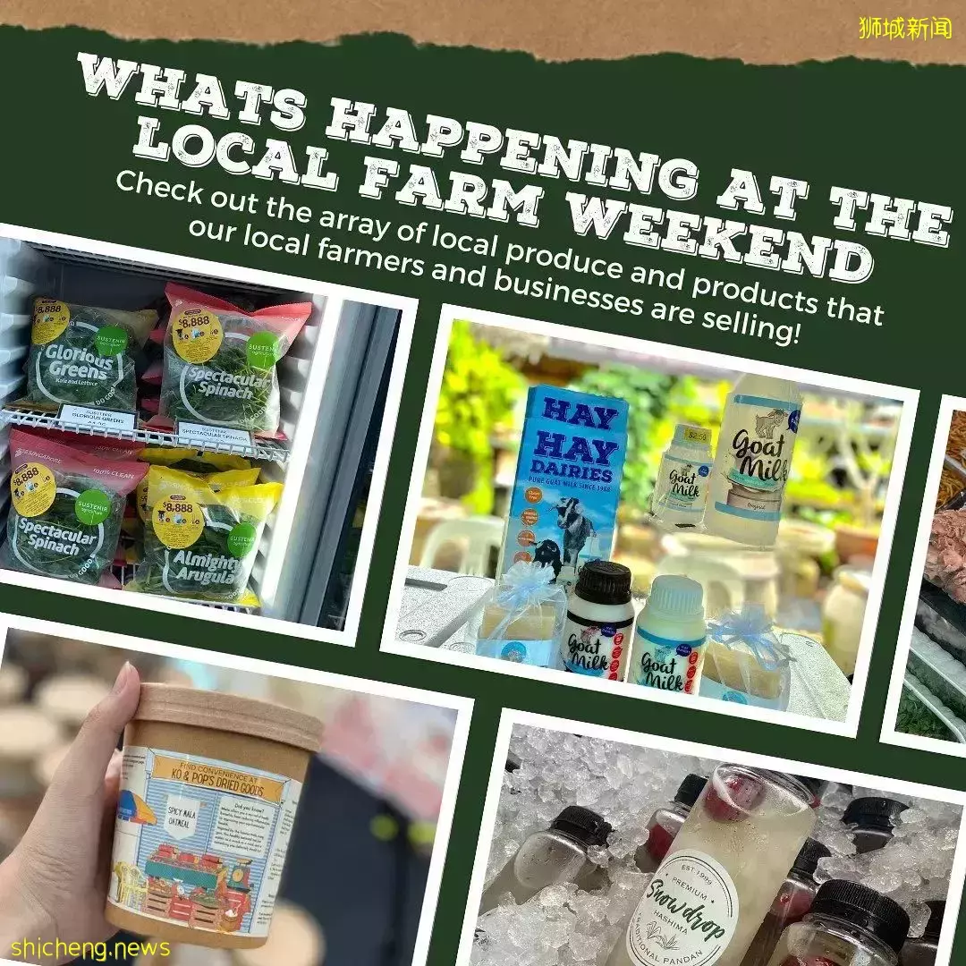 抓青蛙、喂小鸡、摸鹌鹑、喝羊奶、做手工…克兰芝农夫市集又回来啦